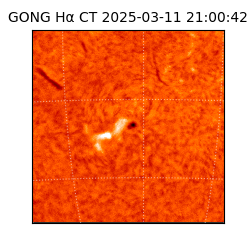 gong - 2025-03-11T21:00:42