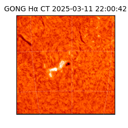 gong - 2025-03-11T22:00:42