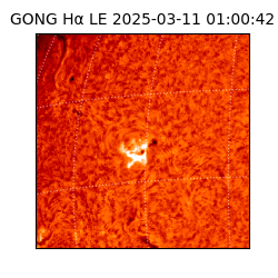 gong - 2025-03-11T01:00:42