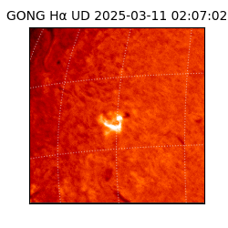 gong - 2025-03-11T02:07:02