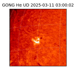 gong - 2025-03-11T03:00:02