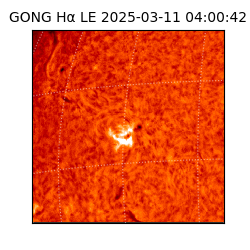 gong - 2025-03-11T04:00:42