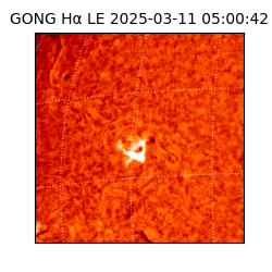 gong - 2025-03-11T05:00:42