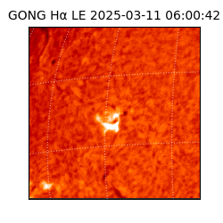 gong - 2025-03-11T06:00:42