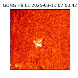 gong - 2025-03-11T07:00:42