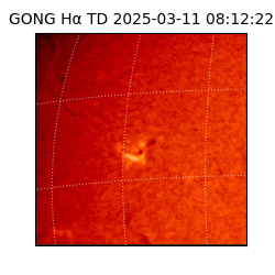gong - 2025-03-11T08:12:22