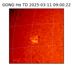 gong - 2025-03-11T09:00:22