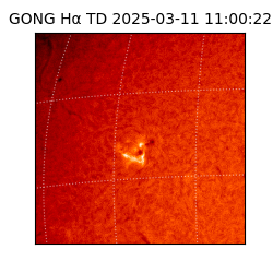 gong - 2025-03-11T11:00:22