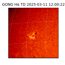 gong - 2025-03-11T12:00:22