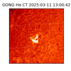 gong - 2025-03-11T13:00:42