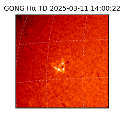 gong - 2025-03-11T14:00:22