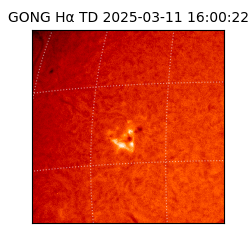 gong - 2025-03-11T16:00:22