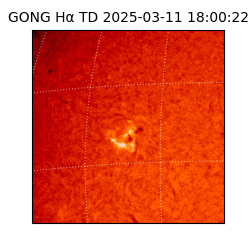 gong - 2025-03-11T18:00:22