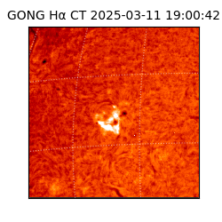 gong - 2025-03-11T19:00:42