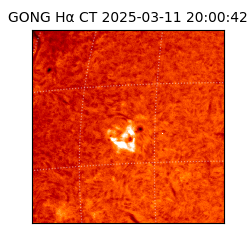 gong - 2025-03-11T20:00:42