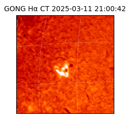 gong - 2025-03-11T21:00:42