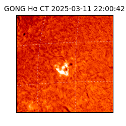 gong - 2025-03-11T22:00:42