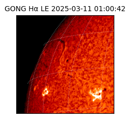 gong - 2025-03-11T01:00:42