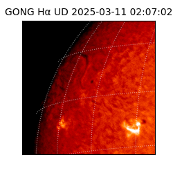 gong - 2025-03-11T02:07:02