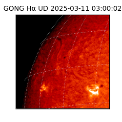 gong - 2025-03-11T03:00:02