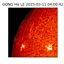 gong - 2025-03-11T04:00:42