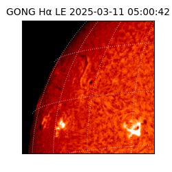 gong - 2025-03-11T05:00:42