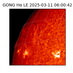 gong - 2025-03-11T06:00:42