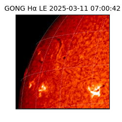 gong - 2025-03-11T07:00:42