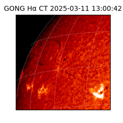 gong - 2025-03-11T13:00:42