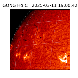 gong - 2025-03-11T19:00:42