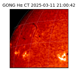 gong - 2025-03-11T21:00:42