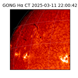gong - 2025-03-11T22:00:42