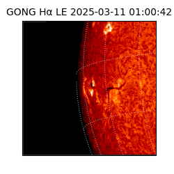 gong - 2025-03-11T01:00:42