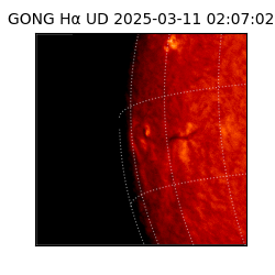 gong - 2025-03-11T02:07:02