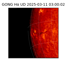 gong - 2025-03-11T03:00:02