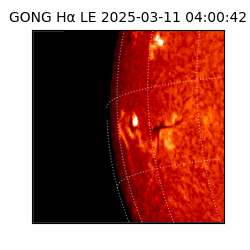 gong - 2025-03-11T04:00:42