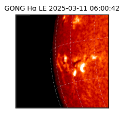 gong - 2025-03-11T06:00:42