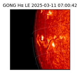 gong - 2025-03-11T07:00:42