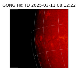 gong - 2025-03-11T08:12:22