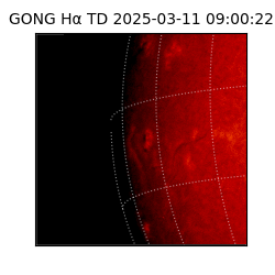 gong - 2025-03-11T09:00:22