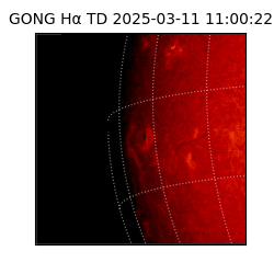gong - 2025-03-11T11:00:22