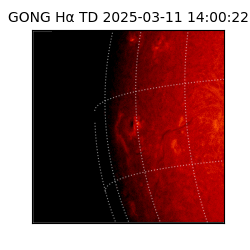 gong - 2025-03-11T14:00:22