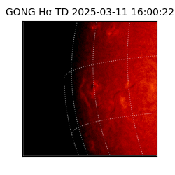 gong - 2025-03-11T16:00:22