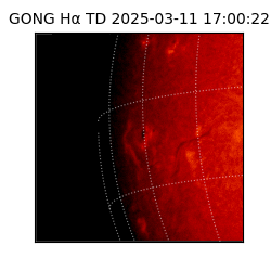 gong - 2025-03-11T17:00:22