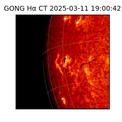 gong - 2025-03-11T19:00:42