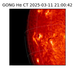 gong - 2025-03-11T21:00:42