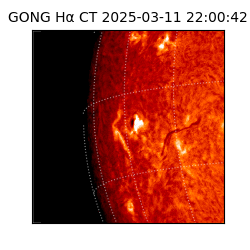 gong - 2025-03-11T22:00:42
