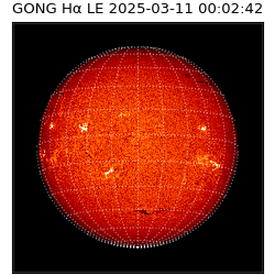 gong - 2025-03-11T00:02:42