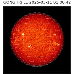 gong - 2025-03-11T01:00:42
