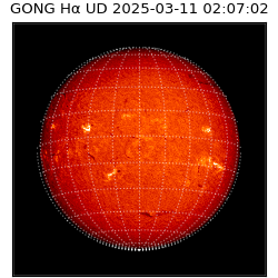 gong - 2025-03-11T02:07:02